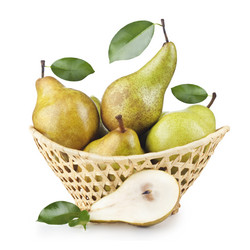 Similar image 1188522