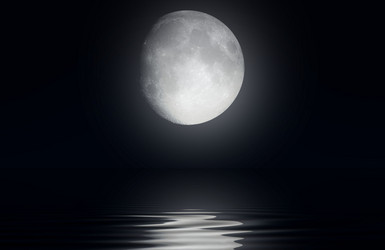 Similar image 1188530