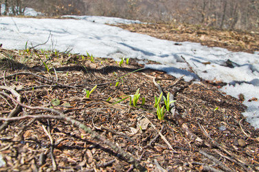 Similar image 1188542