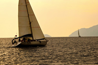 Similar image 1188564