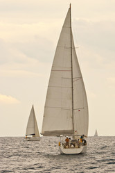 Similar image 1188566