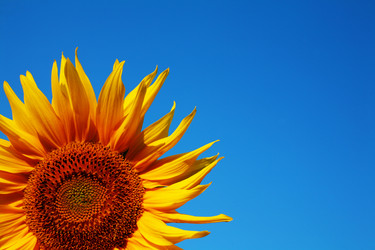 Similar image 1188615