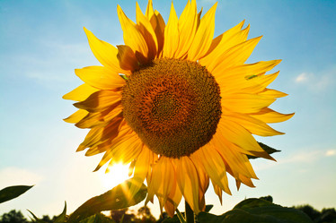 Similar image 1188618