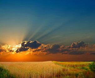 Similar image 1188624