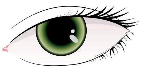 Similar image 1188646