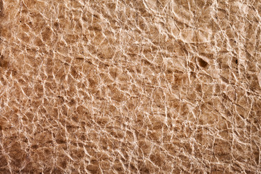 Similar image 1188713