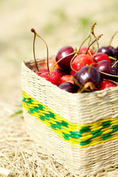 Similar image 1188774