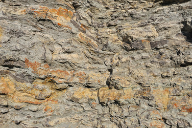 Similar image 1188813