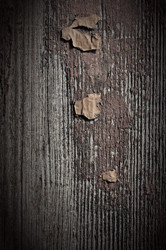 Similar image 1188821