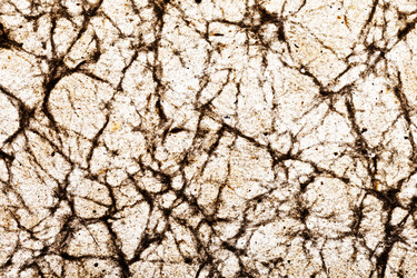 Similar image 1188822