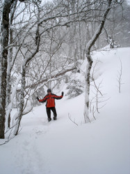 Similar image 1188875