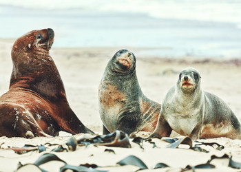 Similar image 1188904