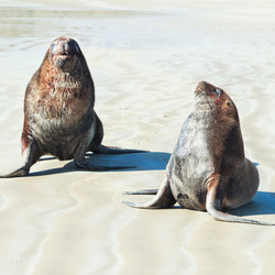 Similar image 1188906