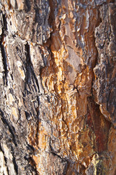 Similar image 1188925