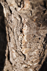 Similar image 1188926