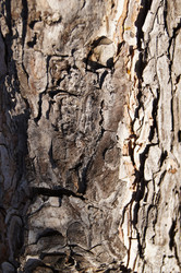 Similar image 1188927