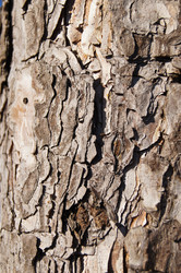 Similar image 1188928