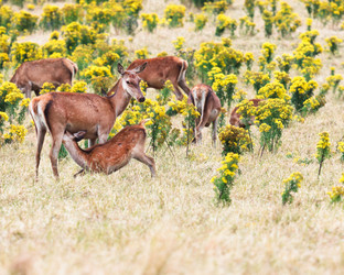 Similar image 1189013