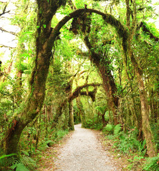 Similar image 1189014