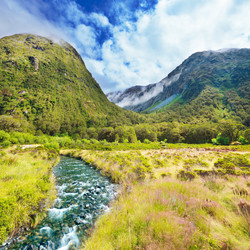 Similar image 1189021