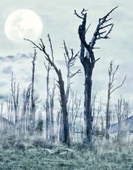 Similar image 1189036