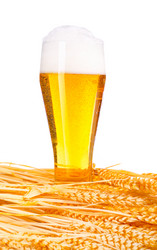 Similar image 1189065