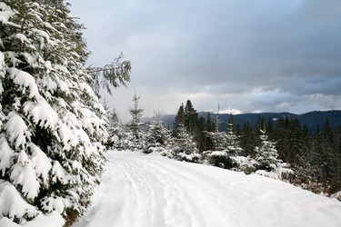 Similar image 1189196