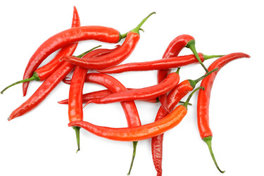 Similar image 1189297