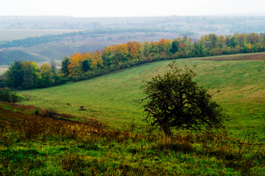 Similar image 1189300