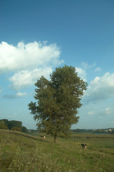 Similar image 1189307