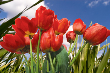 Similar image 1189310