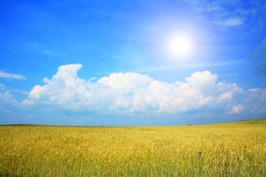 Similar image 1189511