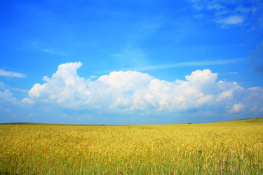 Similar image 1189522