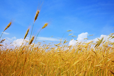 Similar image 1189524