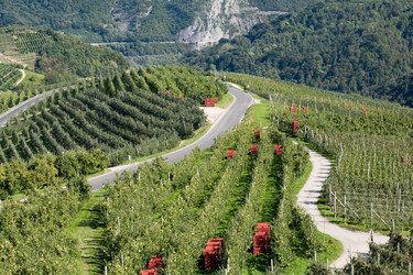 Similar image 1189529