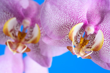 Similar image 1189565