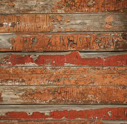 Similar image 1190855