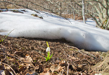 Similar image 1192688