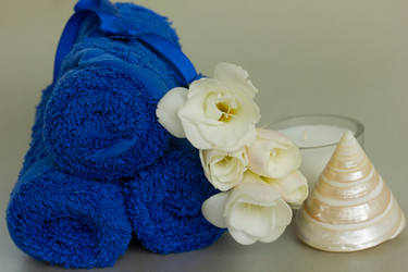 Similar image 1192765