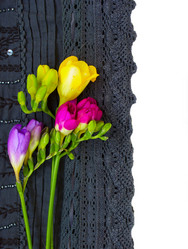 Similar image 1192768