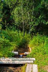 Similar image 1192837