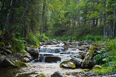 Similar image 1192839