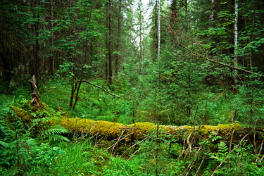 Similar image 1192840