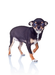 Similar image 1192890