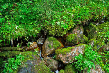 Similar image 1192892