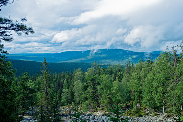 Similar image 1192942