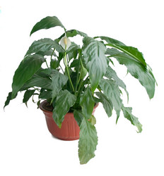 Similar image 1192963