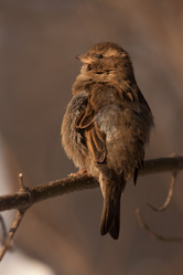 Similar image 1192991