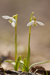 Similar image 1192992