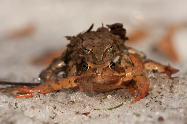 Similar image 1192993